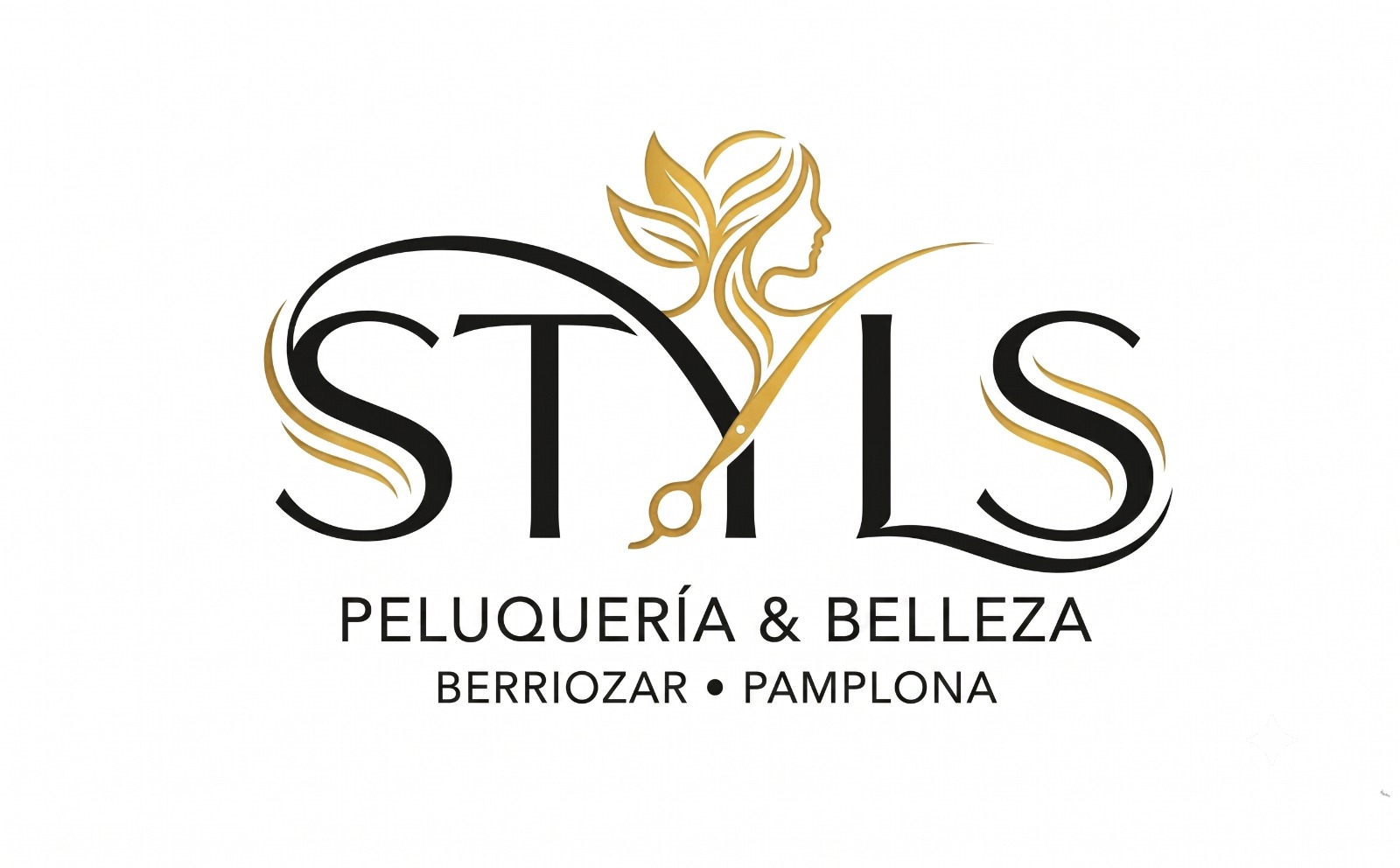 logo-peluqueria-styls